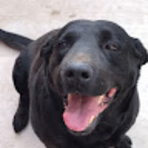 Meet your Posher, Ariana